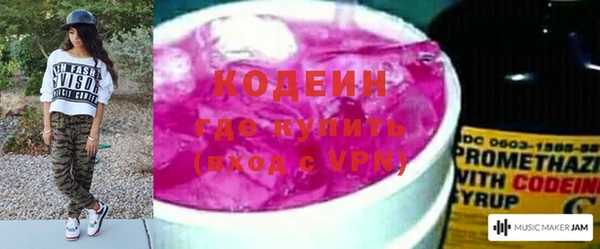 индика Вяземский